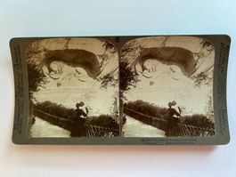 Stereo-Karte 1901 Luzern Löwendenkmal