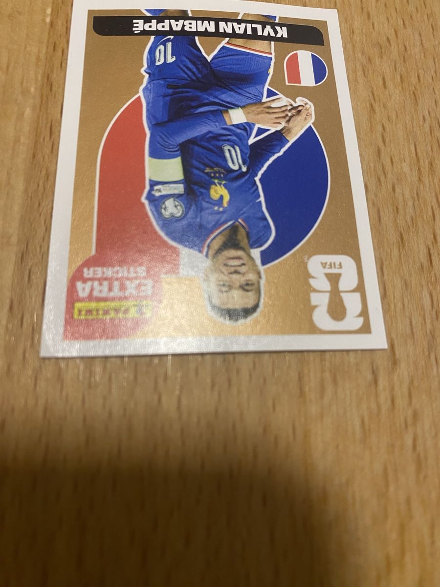 Panini Cartes à collectionner: Fifa Extra Sticker Bronze – Neuf (Voir description) à Kräiligen par waleb22 1