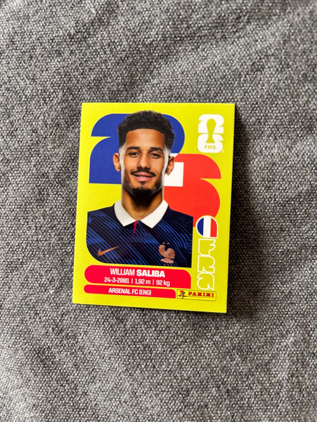 Panini Carte collezionabili: Panini FRA 4 Saliba – Nuovo (secondo la descrizione) da Genève venduto da annedev