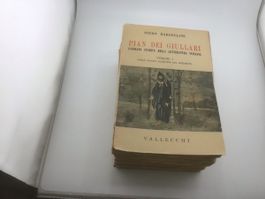 Pian dei Giullari, panorama storico d. letteratura italiana