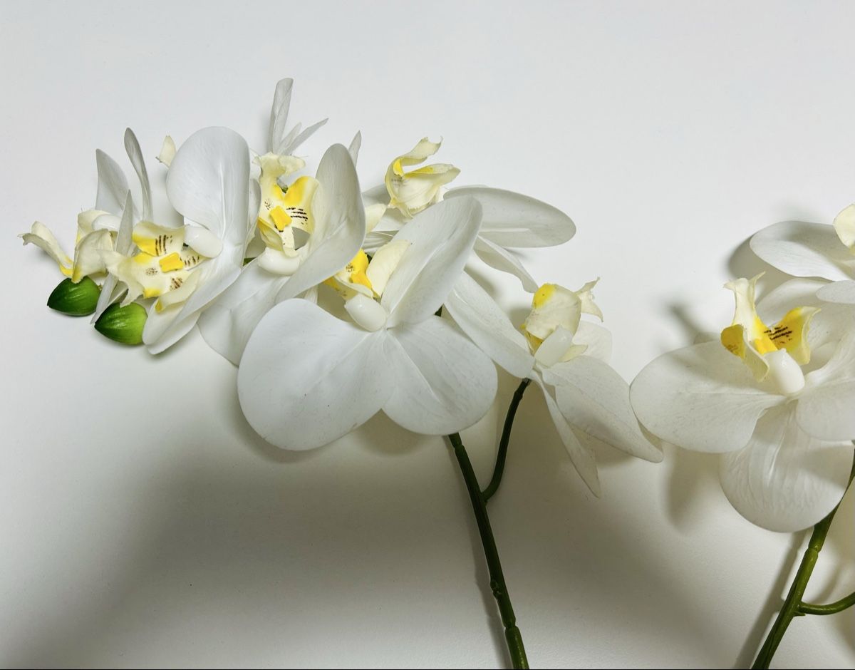 Alle Dekorationen: 2 Kunst Orchideen weiss, inkl. Vase – Gebraucht aus Gunten von starfish3 3