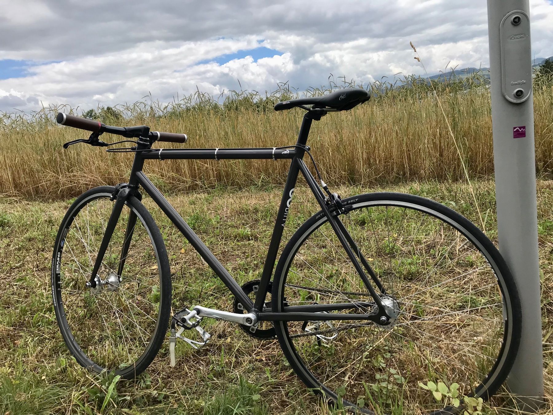 Velos: Gorilla hattara II / 55cm / Fixie / Singlespeed – Gebraucht aus Bern von