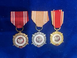Polen Medaille d. Streitkräfte im Dienste des Vaterlandes
