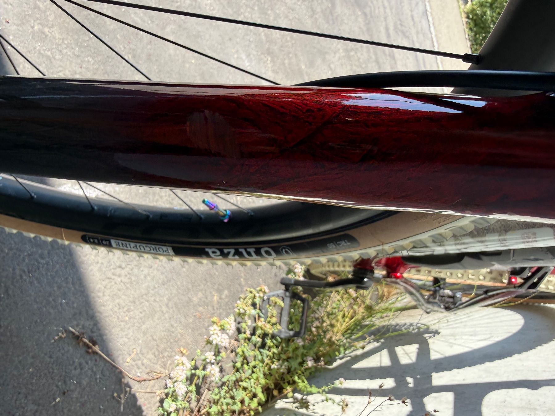 Specialized Velos: Specialized Epic S-Works Gr.L Modell 7 jg. 2023 Top Zustand – Gebraucht aus Ehrendingen von Kilian025 5