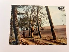 Postkarte En Gironde France