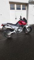 Motorrad Suzuki Freewind XF650 frisch ab MFK