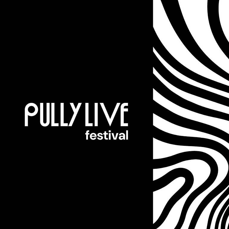 Foto & Immagini: Pully live festival  – Usato da Le Mont-sur-Lausanne venduto da sylvie59 1