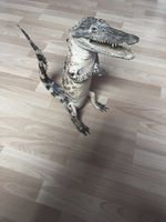 Dekofigur Krokodil, Handarbeit, sehr speziell, Rarität