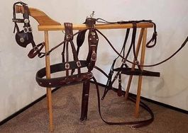 Harnais  exclusive pour cheval taille  Cob