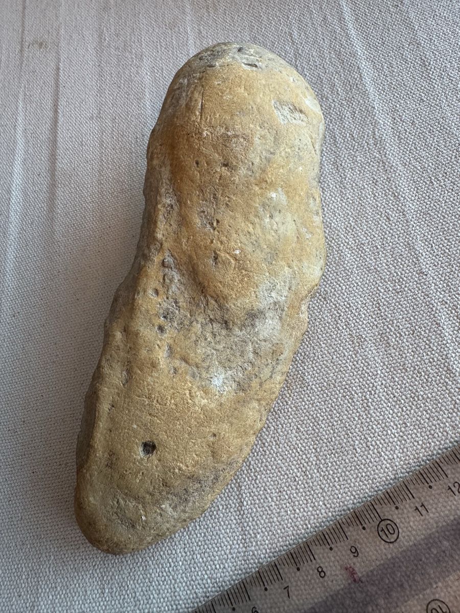 Fossilien: 🔥Fossil fish specimen approximately 16 cm long – Gebraucht aus Morges von SevArt 7