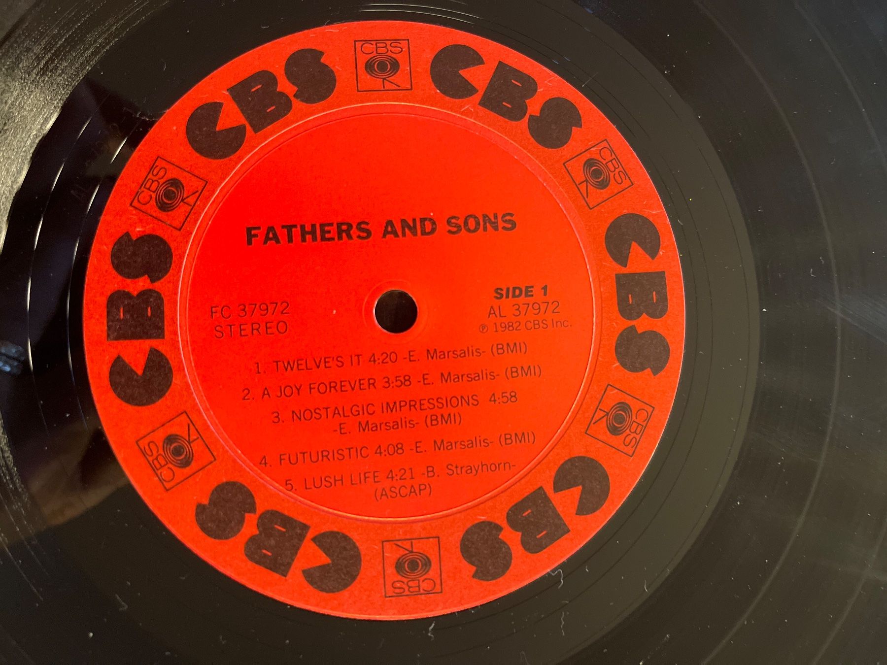 Dischi in vinile: S1644/Fathers&Sons – Usato da Frutigen venduto da Philippe_jsp 2