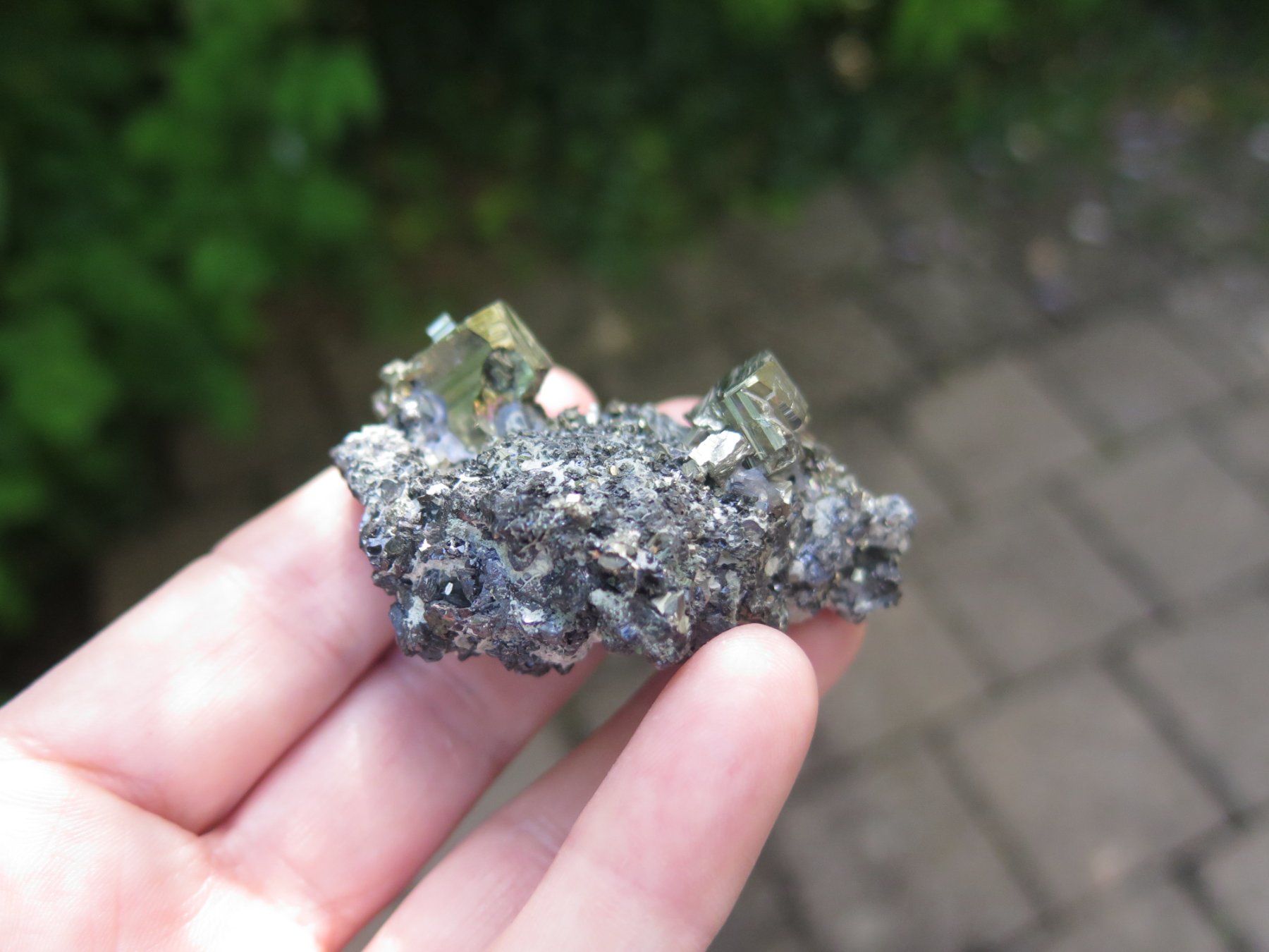 Minerali & Pietre curative: Pyrit auf Sphalerit von Bulgarien – Usato da Schaffhausen venduto da Yamakana51L8736OQ8 6