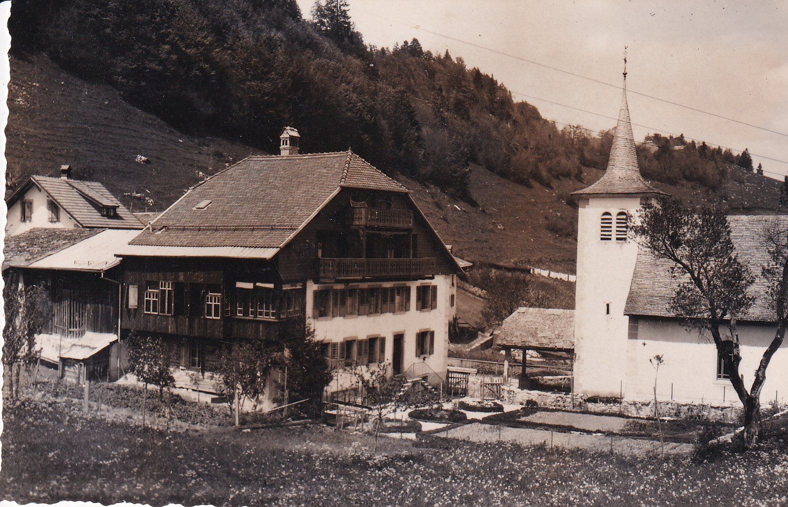 Cartoline postali: Sciernes   FR – Usato da Brig venduto da Valcards54