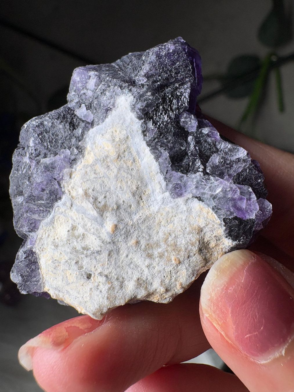 Pietre preziose: Lila Fluorit von Anhui – Nuovo e nell'imballaggio originale da Neuheim venduto da m.hald 6