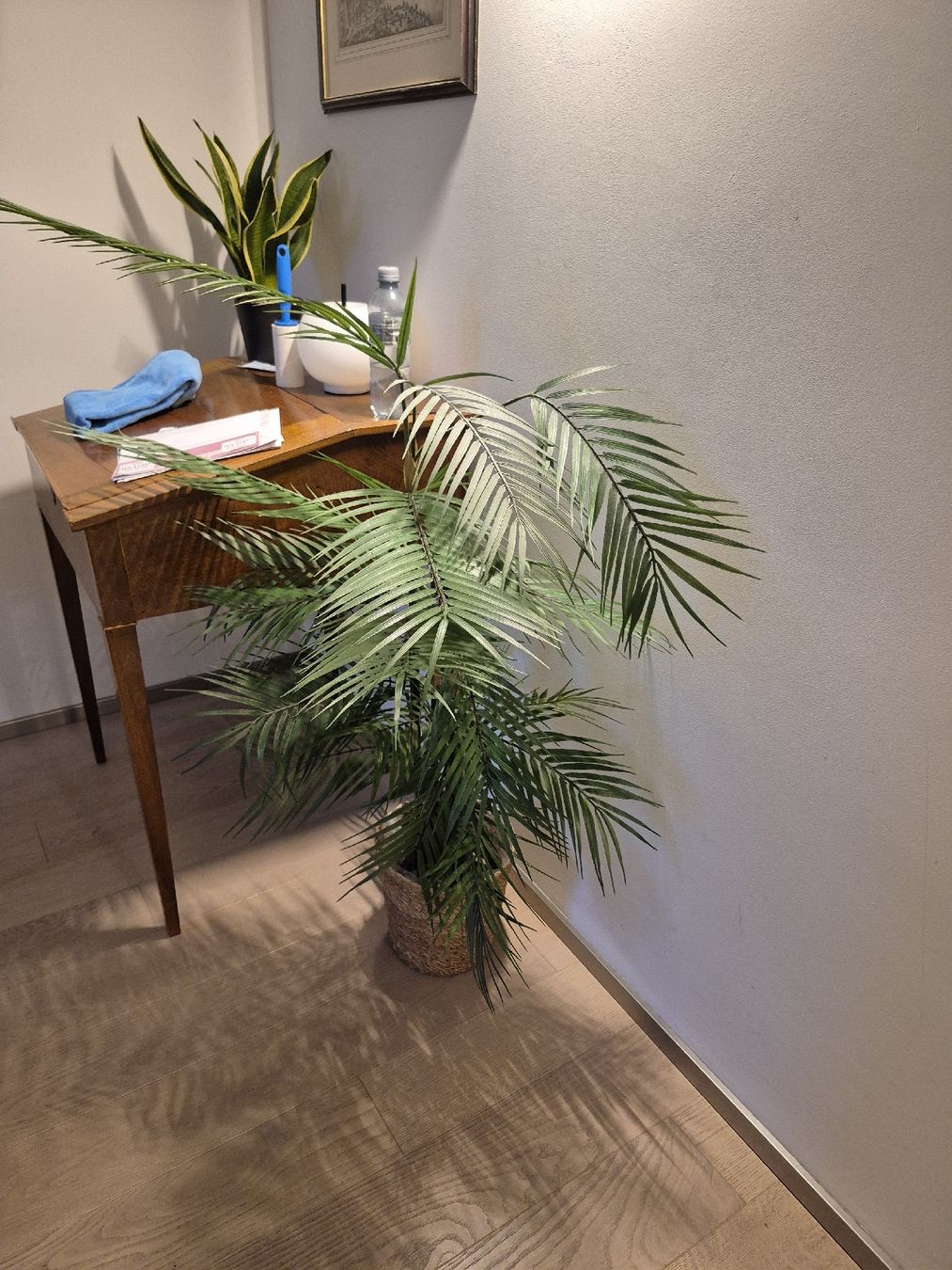 Piante & sementi: Künstliche Areca Palme – Usato da Sempach venduto da bue_d27g 2