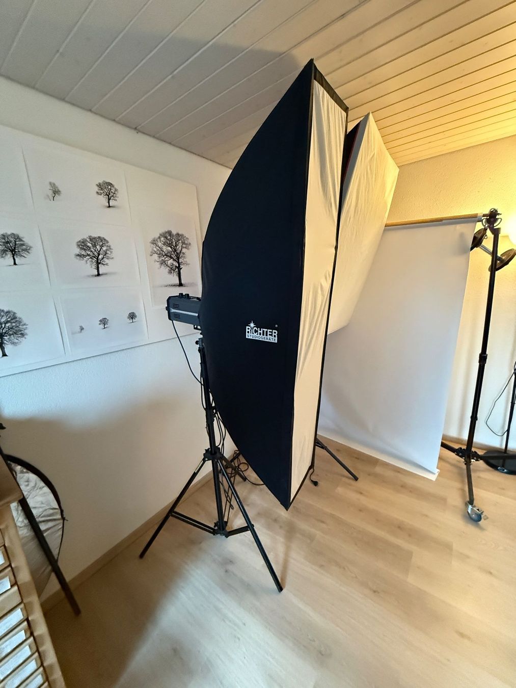Labor & Dunkelkammer: Richter Photo Studio Set, 2 full lamps. – Gebraucht aus Domdidier von fdecourt 2