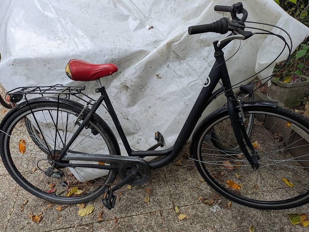 Tutti i DVDs: Damen Fahrrad 28" – Usato da Binningen venduto da Smile-46 2