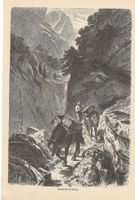 Holzstich 1883 - Saumtiere im Gebirge