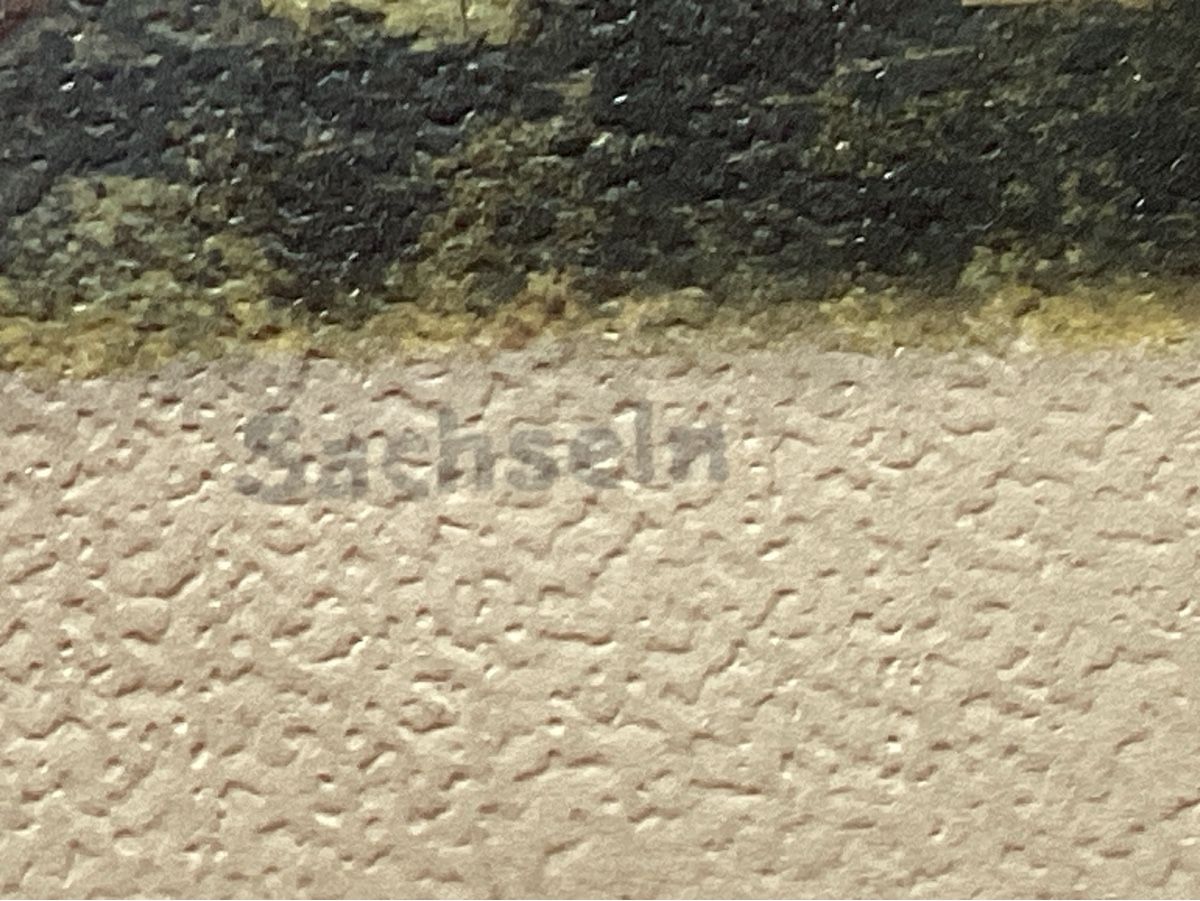 Cartoline postali: Sachseln – Usato da Luc (Ayent) venduto da Rebouille 1