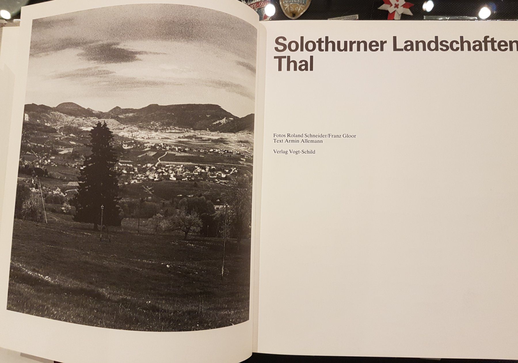 Libri: Solothurner Landschaften - Thal – Usato da Balsthal venduto da Palcivalle 1