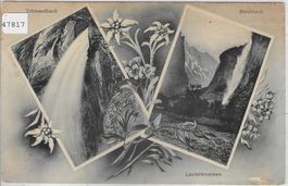 Lauterbrunnen - Staubbach, Trümmelbach - Edelweiss-Karte