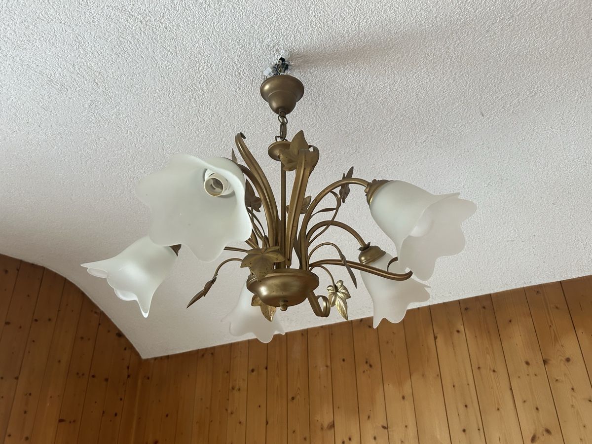 Lampadari & plafoniere: 5-Arm-Deckenleuchte Messing-Optik Blätter-Design – Usato da Laupen ZH venduto da atmagym 2