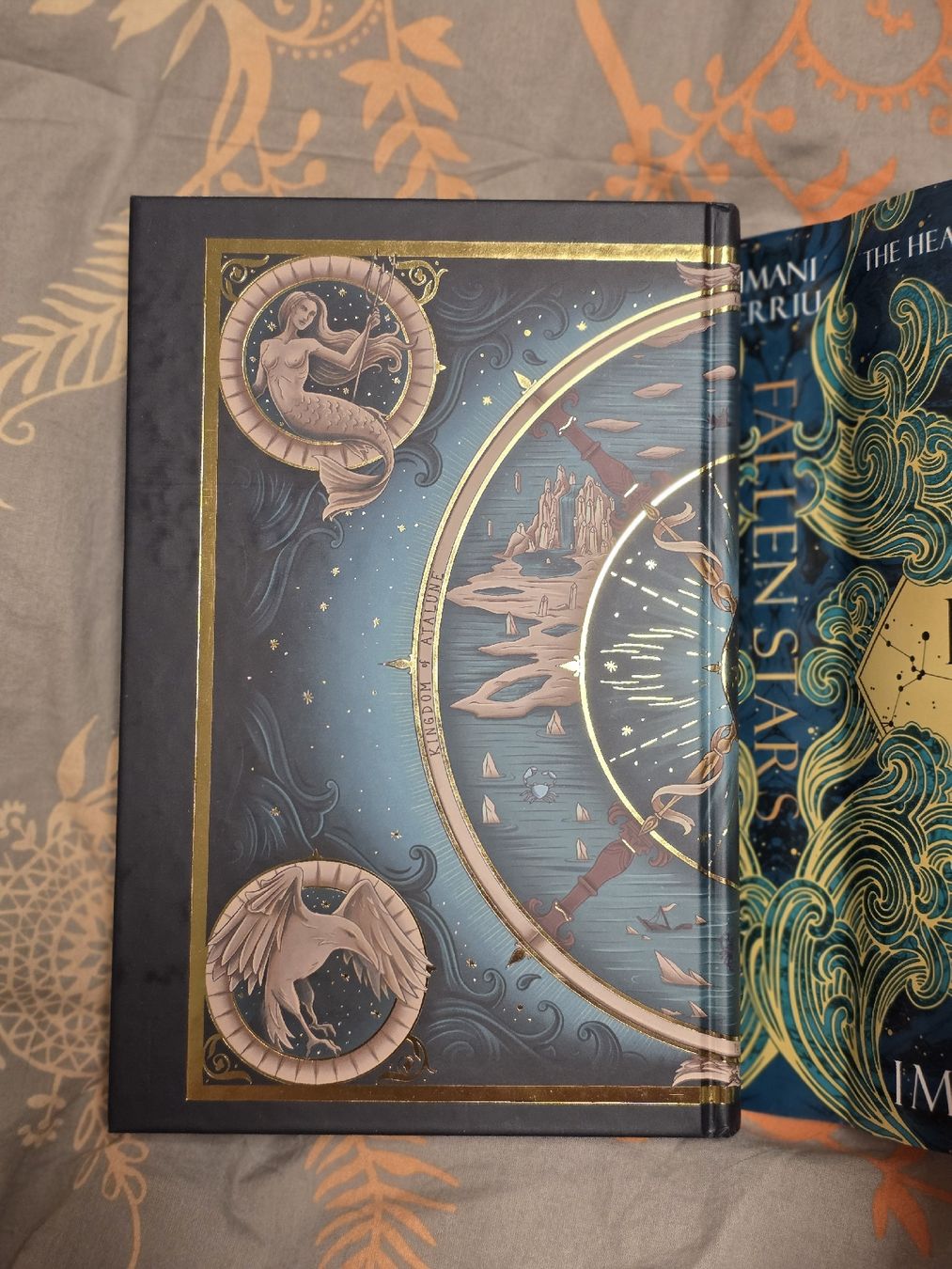 Libri: Fairyloot Fallen Stars signiert – Nuovo (secondo la descrizione) da Erlen venduto da Noloka_green 6
