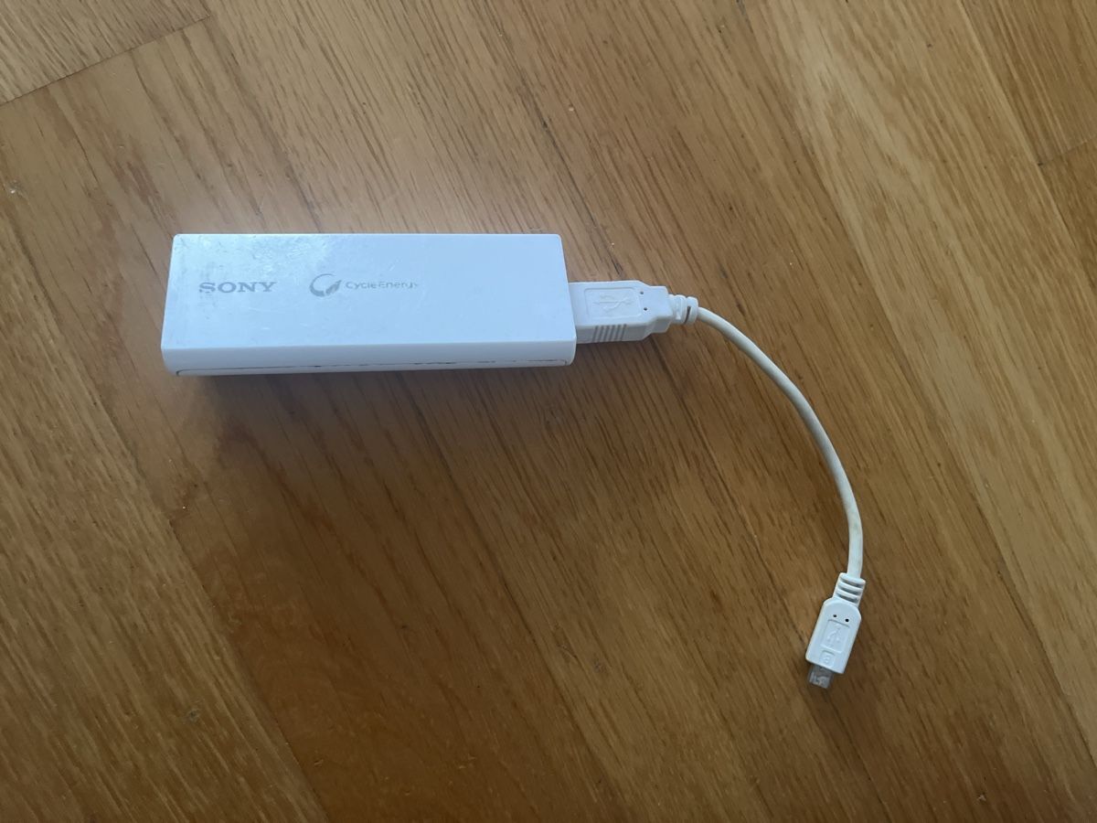 Caricabatterie: Powerbank – Usato da Buttisholz venduto da Eberlic