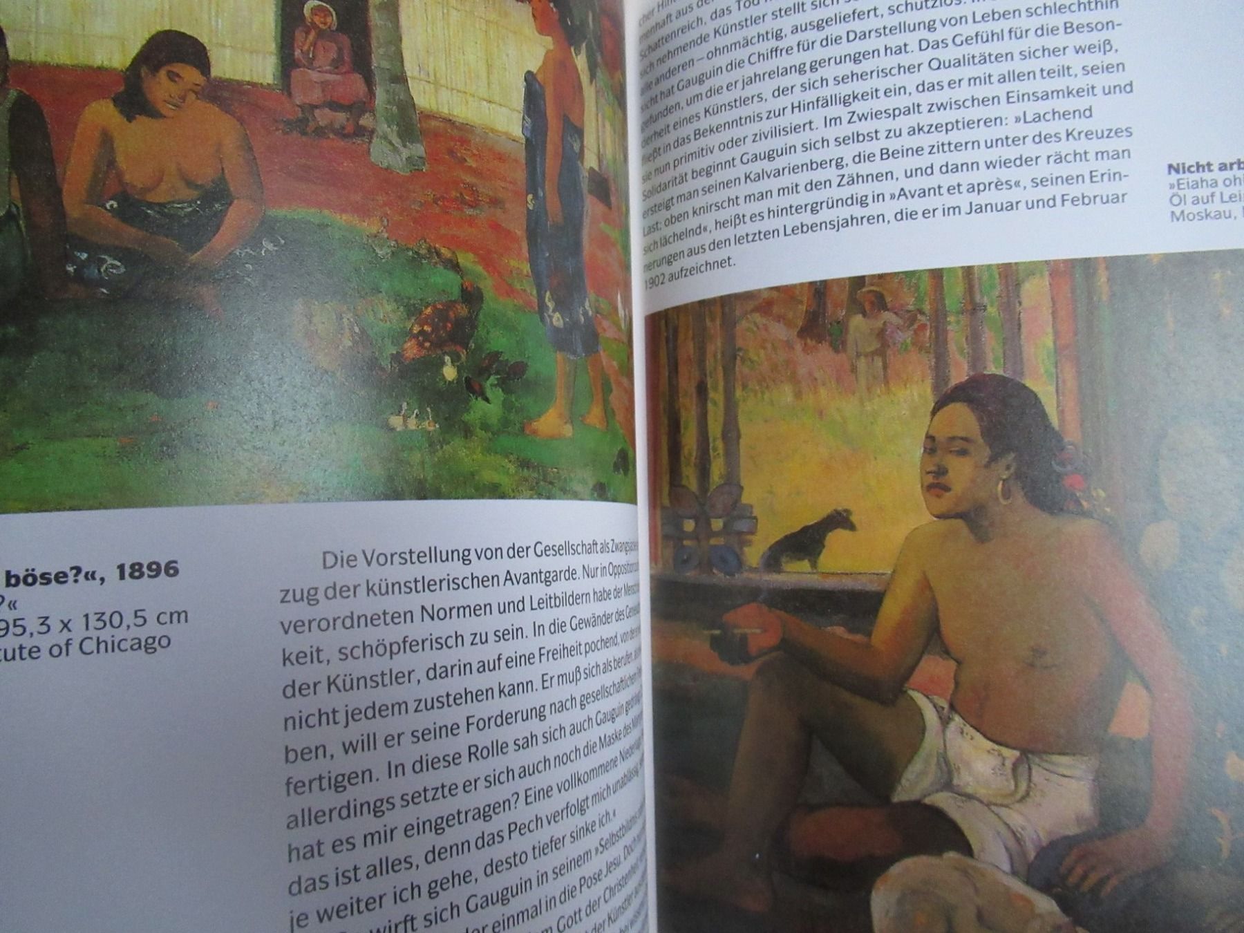 Libri: PAUL GAUGUIN – Usato da Moosseedorf venduto da haro01 5