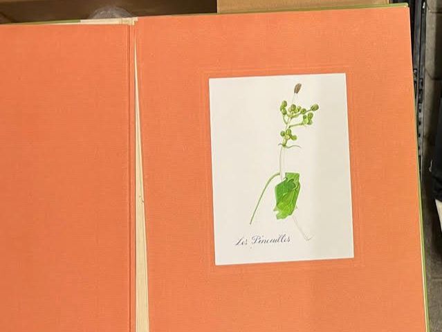 Libri: L' herbier imaginaire – Nuovo (secondo la descrizione) da Vevey venduto da yve_7dpw 3