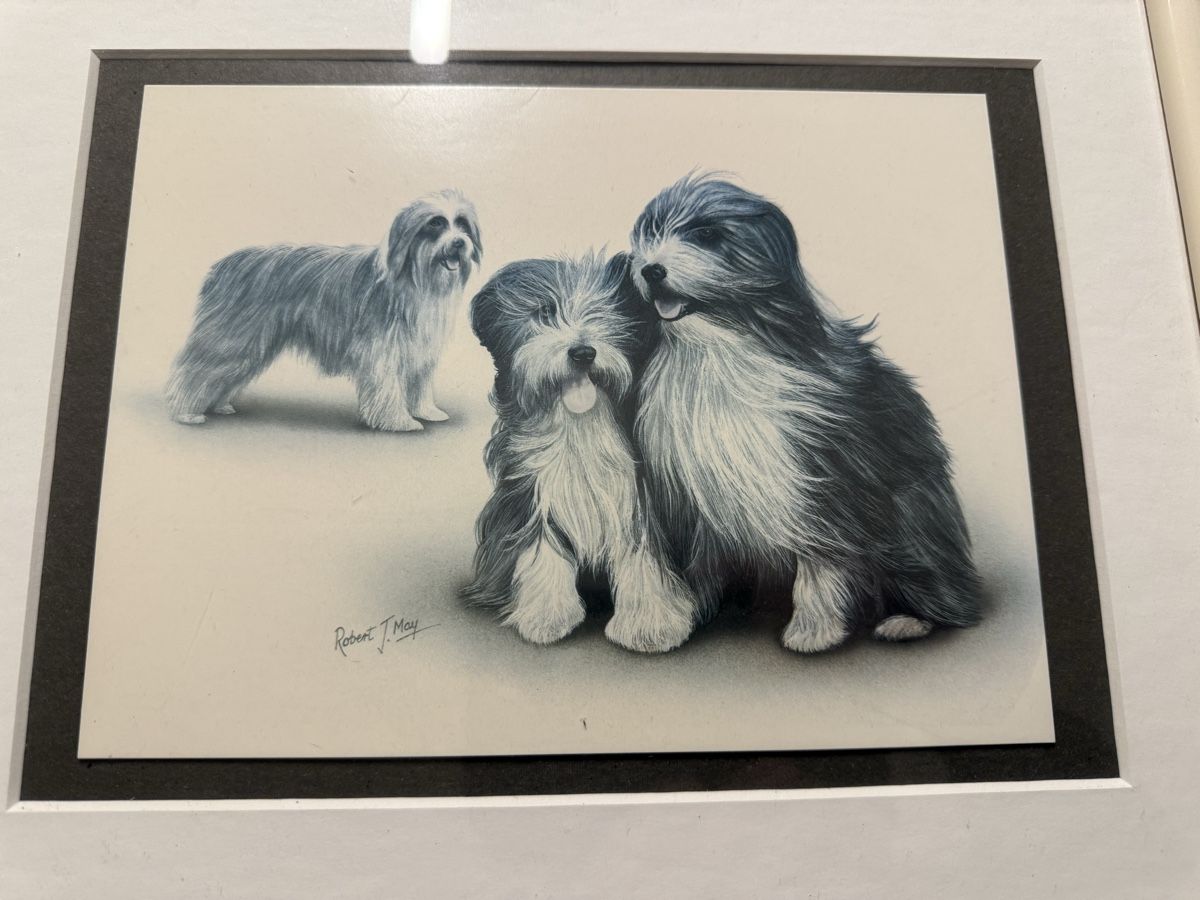 Hundezeichnung von Robert J. May im