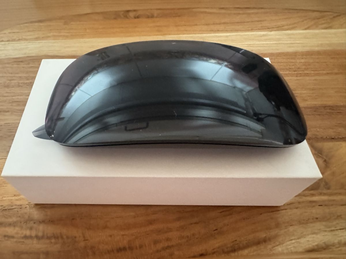 Apple Mouse: Magic Mouse 2 (Apple) – Nuovo (secondo la descrizione) da Carouge GE venduto da ant_h7rq