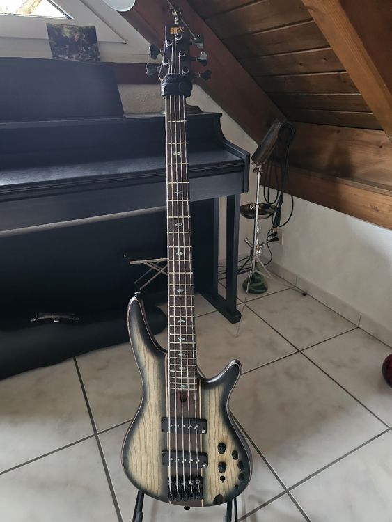 Ibanez sr1345 deals