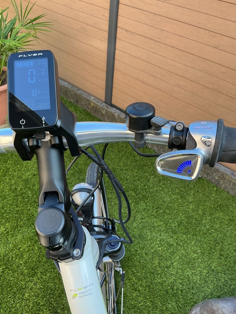 Flyer Biciclette: Fleyer E Bike ab Service  – Usato da Oberbuchsiten venduto da Tesin3 3