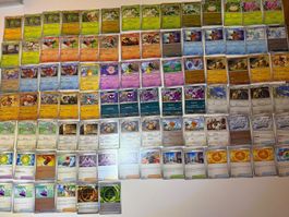 Pokemon Perfect Order 🇬🇧 Set Holo⭐️ Karten für Materset