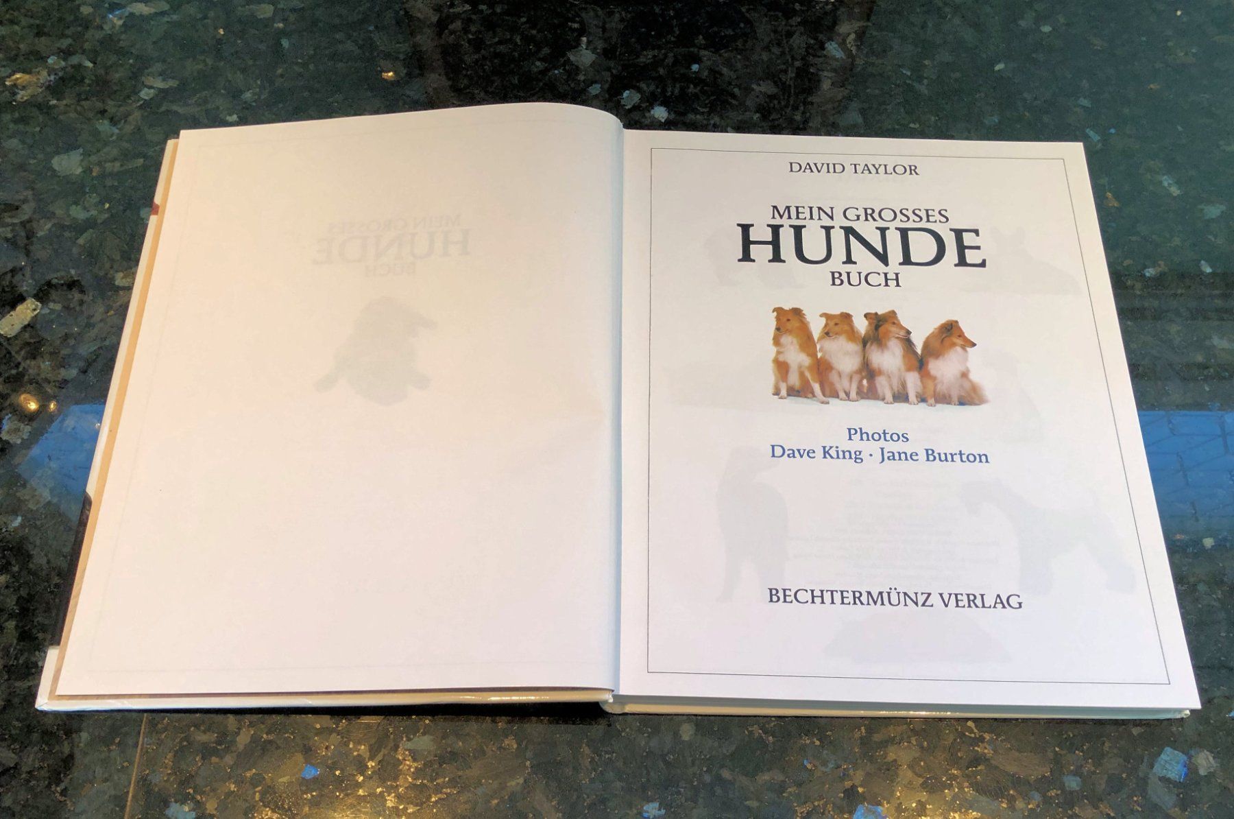 Libri: Mein Grosses Hundebuch – Usato da Rüti ZH venduto da Jasna89 1
