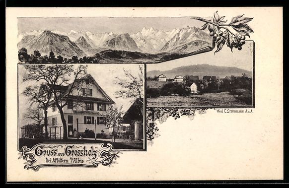 Ansichtskarten: Grossholz bei Affoltern, Villa, Bergpano – Gebraucht aus Berlin von bartko-reher