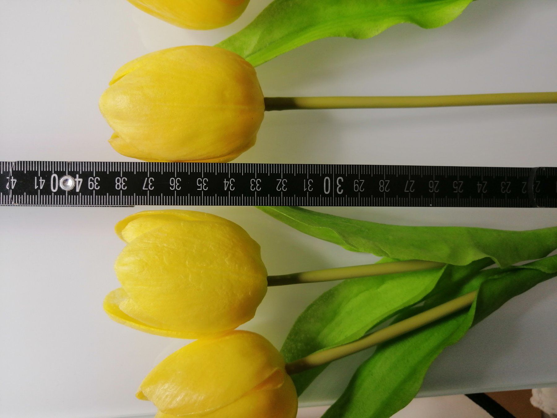 Pflanzen & Samen: gelbe kunst Tulpen 7 Stk. – Gebraucht aus Biel/Bienne von M.D.C 1