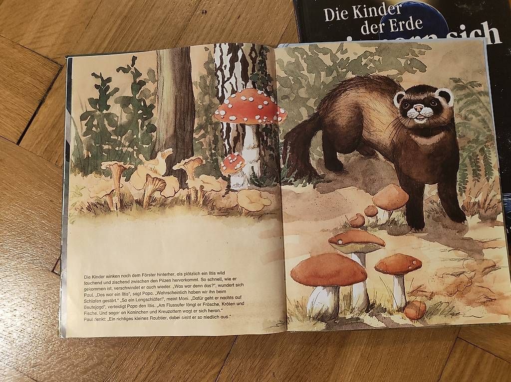 Libri: Grosse Kinderbücher – Usato da Zürich venduto da jeu_szl9 1