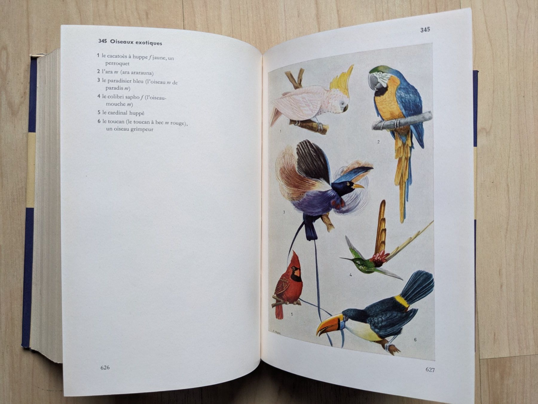 Bücher: Duden Français: Dictionnaire en images – Gebraucht aus Rotkreuz von eulennest 3