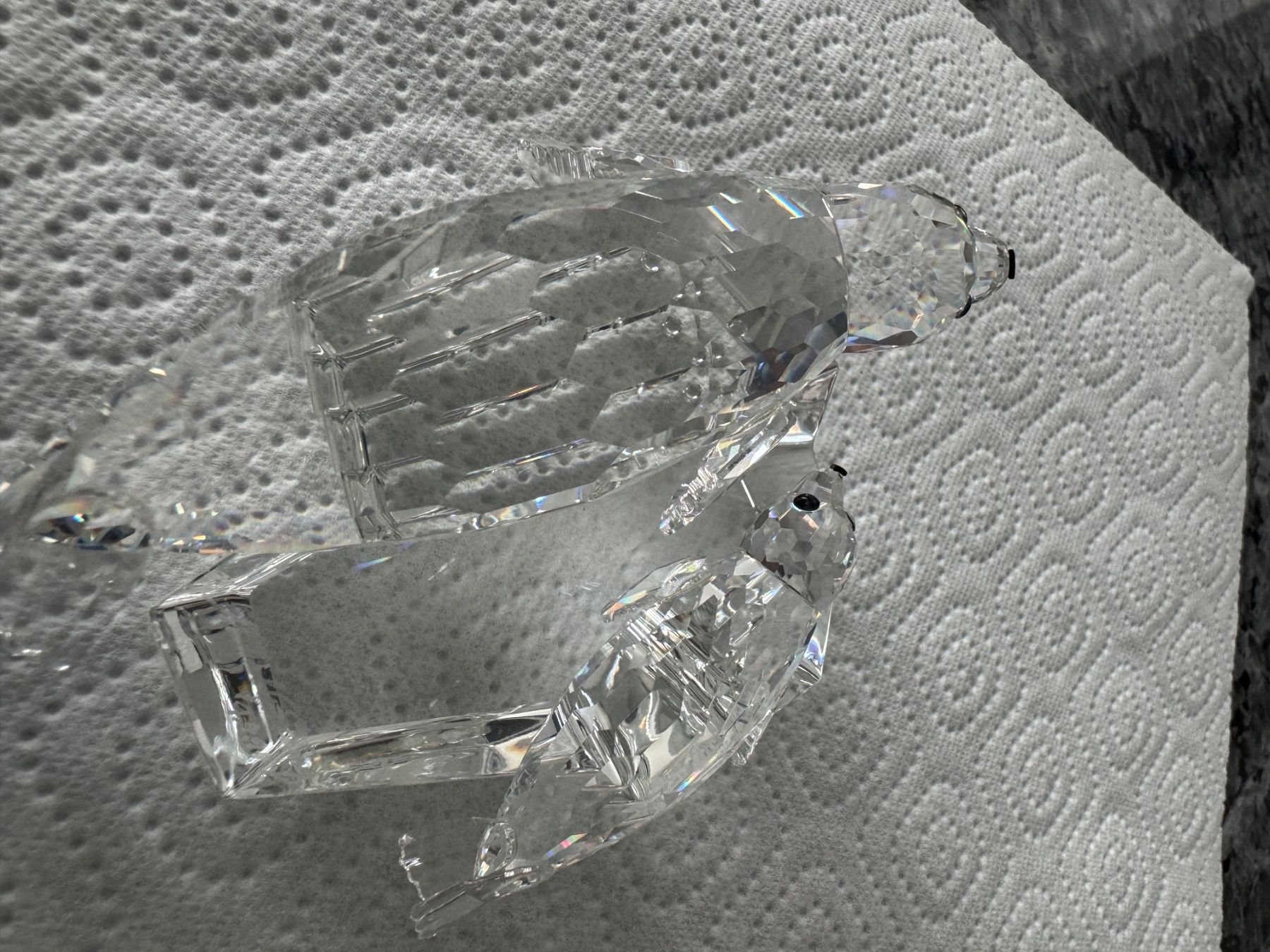Swarovski Statuette: Swarovski Robben SCS ( Vitrinenobjekt ) – Nuovo (secondo la descrizione) da Bronschhofen venduto da pgds 3