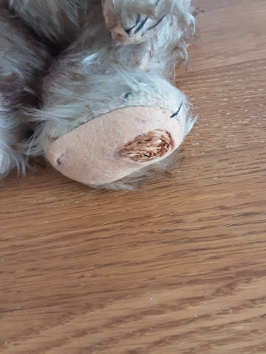 Spielzeuge: Antiker Teddybär Plüschtier beige  – Gebraucht aus Root von andalus01 2
