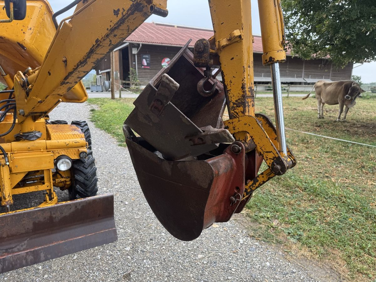 Bagger: Bagger Dumper Longhini CMI DE 10 – Gebraucht aus Winden von farmalld439 6