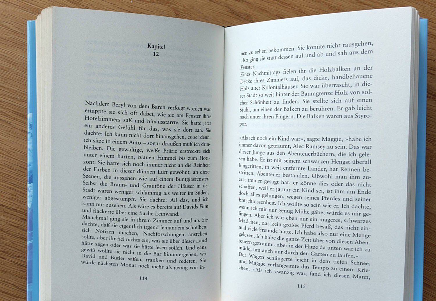 Libri: Die Farben des Eises - Audrey Schulman – Usato da Zürich venduto da kba_579s 4
