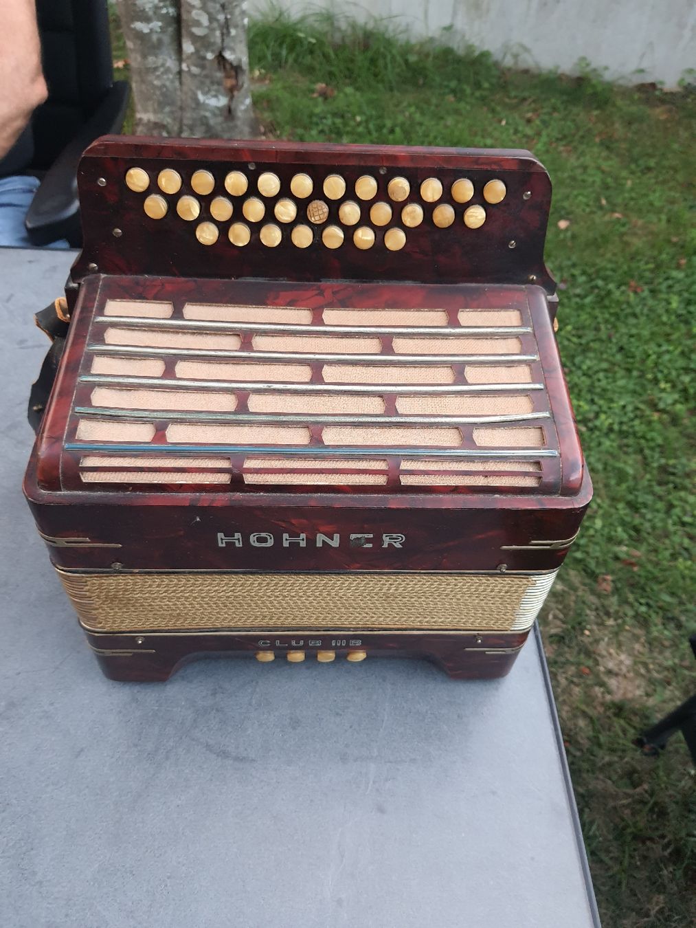 Hohner Strumenti musicali: accordéon hohner norma diatonique  – Usato da Pont-de-la-Morge venduto da Mirabelle0 3