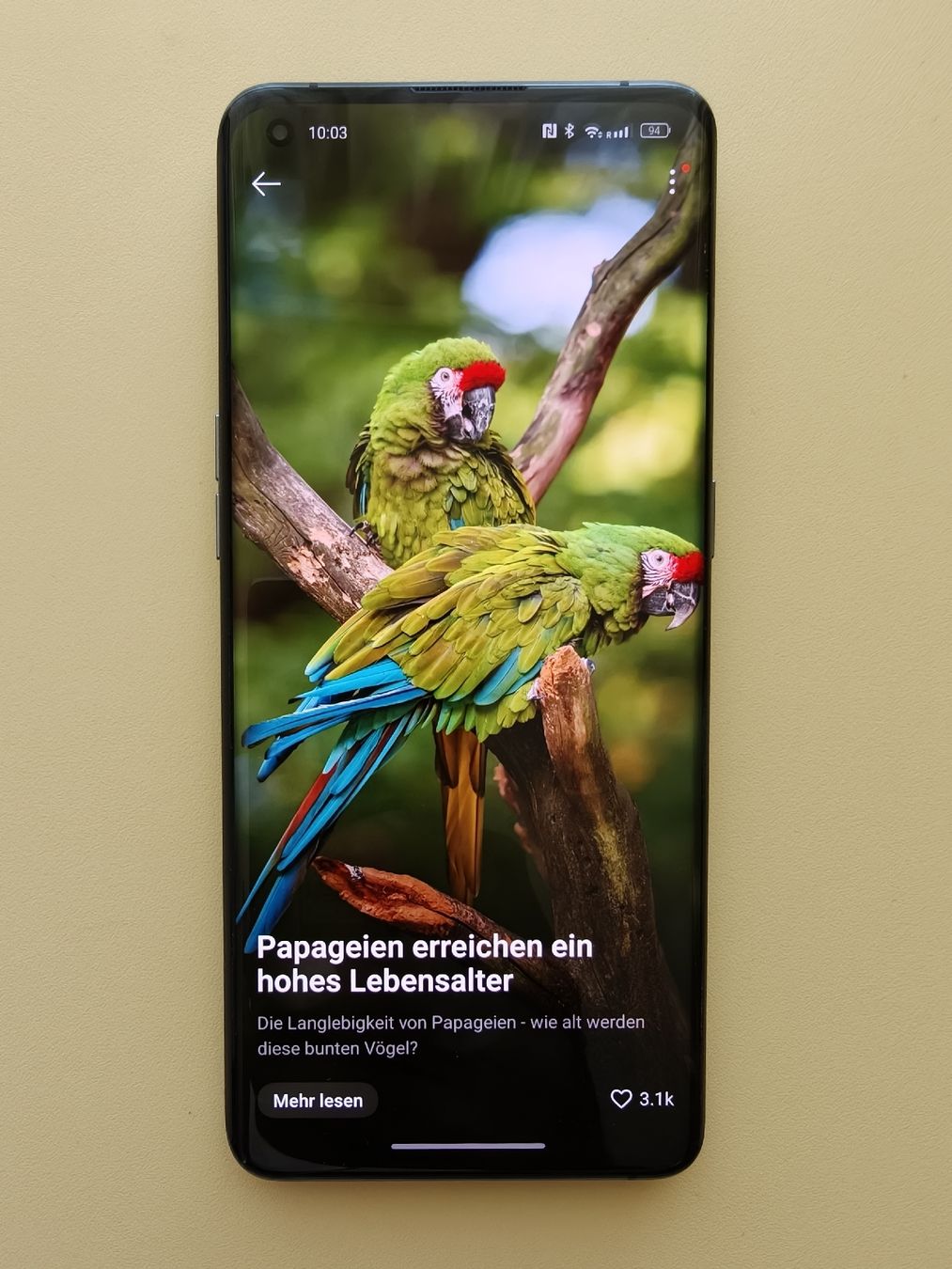 Oppo Portables: Oppo Find X3 Pro – D'occasion à Zermatt par afra007 3