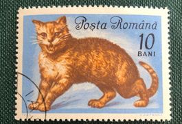Briefmarken aus Rumänien gestempelt   Siehe Original Fotos.