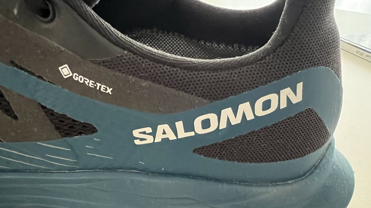 Salomon Scarpe da uomo: Salomon Gore-Tex Wanderschuhe – Usato da Fällanden venduto da Bodo60 3