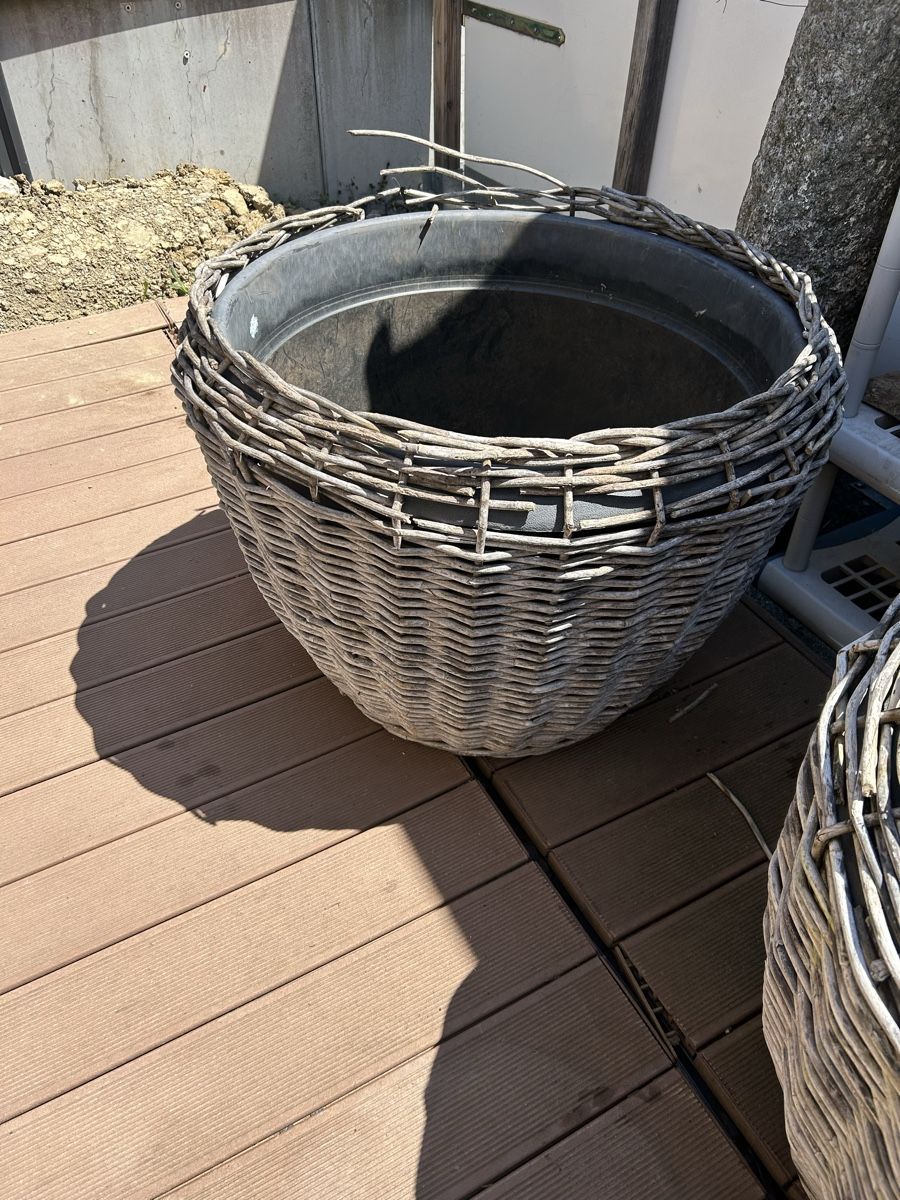 Blumentöpfe: Pflanzentopf – Gebraucht aus Eschenbach LU von Puppy1