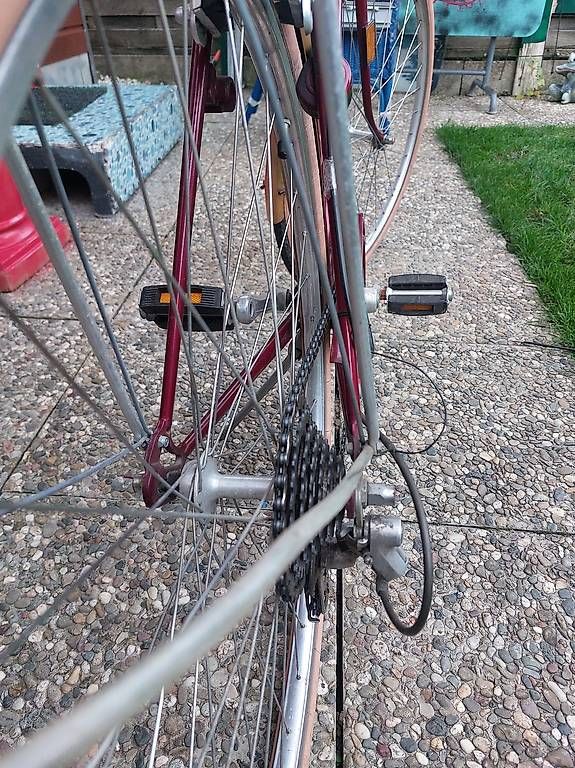 Biciclette: Damenvelo – Difettoso da Twann venduto da emmilein 4
